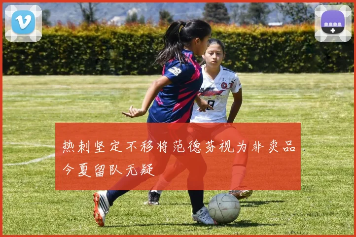 热刺坚定不移将范德芬视为非卖品今夏留队无疑